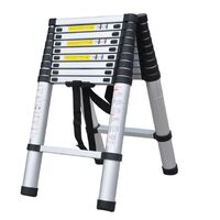 double A frame stairs Telescopic ladder structure