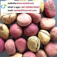 Low price natural pure cola nut from Africa