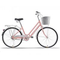 2022 classic ladies city bikes for sale/OEM custom 26 inch men's and women's vintage bikes/adult bike share bicicleta mujer