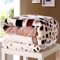 Wholesale Cheap Korean Style High Quality 1 Layer Raschel Blanket