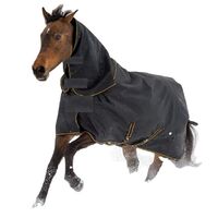 Premium Equine Products Neck Turnout Rug - Black/Gold