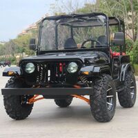 Side by side utv for sale (U-1)