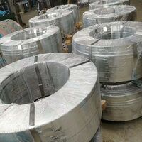 China High Quality Gi Grounding Steel Strip Galvanized Z12