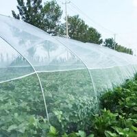 Bulk Garden Insect Nets For Pest Agriculture Greenhouse Insect Nets