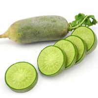 Factory direct sales delicious low price green radish fresh vegetables high quality green radish