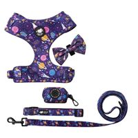 High Quality Soft No Tension Adjustable Reversible Designer Stand Harness Belt Collar Set