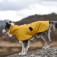 Promotional summer pet clothing dog raincoat PU jacket waterproof raincoat