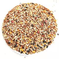 pigeon feed poultry feed dry bird feed mealworms and corn