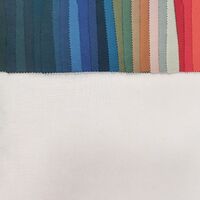 Tencel Lyocell Fabric Wholesale High Quality 100 Lyocell Solid Color Fabric Twill Sustainable 100% Tencel Shirt Fabric