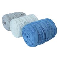 Soft Colorful 100g 400g Roll 2cm 3cm Width 100% Polyester T-Shirt Yarn for Handcrafts and Bags