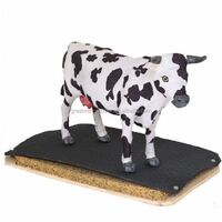 European Standard Fabric Impression Cow Rubber Mattress Product Line with EP Lining