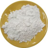 White wollastonite for ceramic industrial wollastonite powder