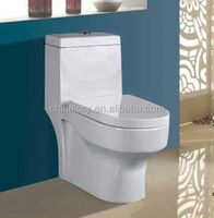 Classic Style Siphon One-Piece Toilet 2022 Western Toilet Flush