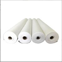 Linoleum Waterproof Membrane Laying on Leak-proof Floor Waterproof SBS Organic Color Change Packaging Weight Material Torch Raw Material