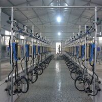 Waikato Milk Flow Meter Herringbone Milking System