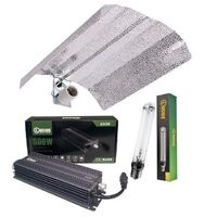 Best Selling 600W Hydroponic Grow Light Ballast Kit High Pressure Sodium 600W HPS Grow Light