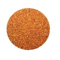 New crop quality millet grain bulk from Kazakhstan manufacturer best price millet grain supplier