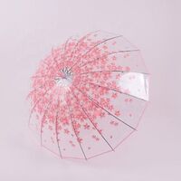 Ladies and Children Transparent Umbrellas Customized Color Promotional Transparent Transparent Umbrellas