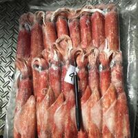 frozen illex squid whole round squid Chinese Loligo squid frozen illex squid for sale