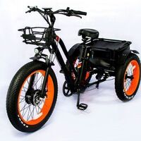 2020 500W 750W Tire 3 Wheel Electric Cargo Bike Tricycle Cheap Price