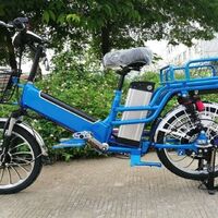 48v/12ah+48v12ah lithium battery 350w motor delivery electric bike cargo electric bike for adults