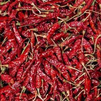 Wholesale High Quality Low Price Dried Red Chili from Vietnam