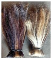 Washed double puller horse mane for paint 4yrs CN. Manufacturer of hebei and export cattle buffalo tail hair natural cattle