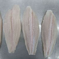 Vietnam Frozen Seafood Fillet Price / Best Supplier of Pangasius Fillet