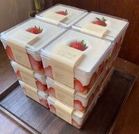 Food Grade Transparent PS Plastic Cake Food Container Box Food Dessert Sealed Box Plastic Container Box