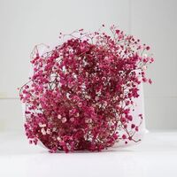 Hotsale Focus Floral Brand Saves Baby's Breath With High Quality Gifts