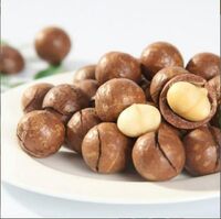 Vietnam Roasted Macadamia Style Packaging Country of Origin Type Nuts High Dry Snacks, Good Quality and Healthy