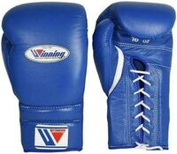 16oz Training Boxing Gloves