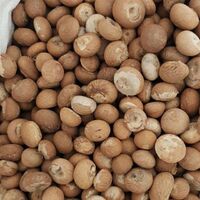 100% Natural Brown Young Dried Areca Nuts, Shelf Life 6 Months, From Vietnam