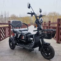 Best price electric scooter 1200W 1000w 800w city/three fat wheel tricycle motorcycle electric bike 48v