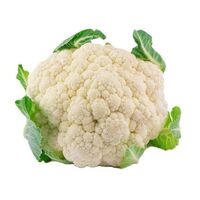 Wholesale Cauliflower Best Price High Quality Vegetables Healthy Cauliflower