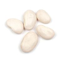 Large Lima Beans Wholesale Price Supplier Bulk Stock Fast Shipping