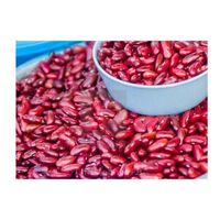 Non-GMO Premium Natural Bulk Dried Red Bean Dried Tomato Red Kidney Bean Food From Uzbekistan