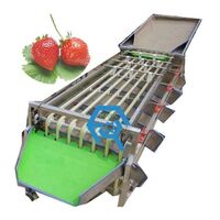 Orbital Fruit Automatic Sorting Machine Blueberry Strawberry Raspberry Size Grading Machine Harmless to Peel