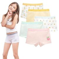 Wholesale Custom 5 Pack Girls Boxer Shorts