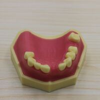 Nissin Typodont Dental Model Training Practice Cavity Preparation Study