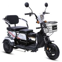 OEM Custom Electric Tricycle for Sale/Good Adult/Battery Three Wheel Electric Tricycle