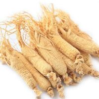 100% Pure Ginseng Root Extract / Ginseng Extract