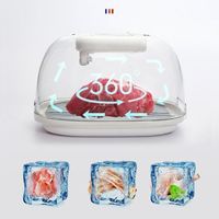 New Kitchen Tools Meat Defrost Box For Frozen Meat With Ultra Fast Thaw Thaw Plate