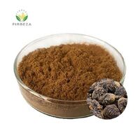 Maca Powder Wholesale Price 100% Pure Natural Organic Wholesale 10:1 Black Maca Root Extract Powder