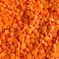 Red lentils, Masoor Daal