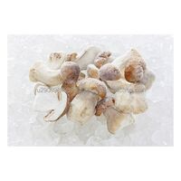 New Frozen White Mushroom Modern Quick Freezing Technology Keep Nutrition Fresh Wholesale Price