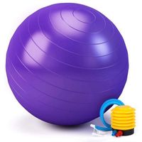 Amazon Hot Selling Fitness Home Gym PVC Yoga Ball 45 55 65 75 85cm Yoga Fitness Ball with Pump