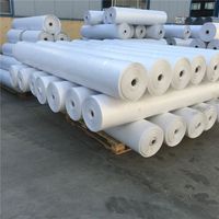 China Manufacturer Various Waterproof Heavy Duty Tarpaulin Canvas PE Tarpaulin Rolls