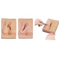 Vulva Suturing Training Simulator for education