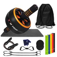 17 in 1 Home Gym Fitness Body Training Abs Roller with Resistance Bands Adjustable Jump Rope Set